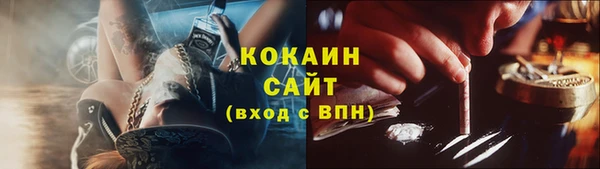 кокс Арсеньев
