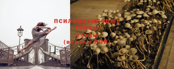 PSILOCYBIN Снежногорск