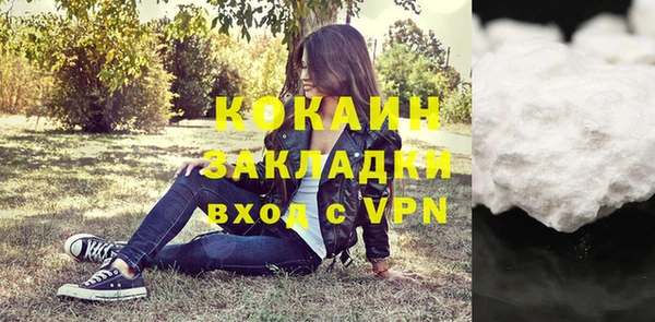 кокс Арсеньев