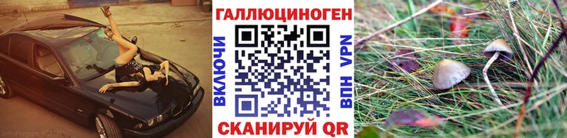 закладка  ссылка на мегу онион  Псилоцибиновые грибы Cubensis  Аркадак 